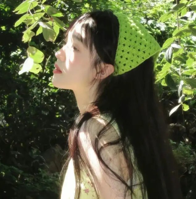 惹不起的宫主大人